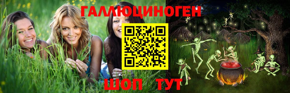 Псилоцибиновые грибы Psilocybe  Вход с VPN  Богданович 
